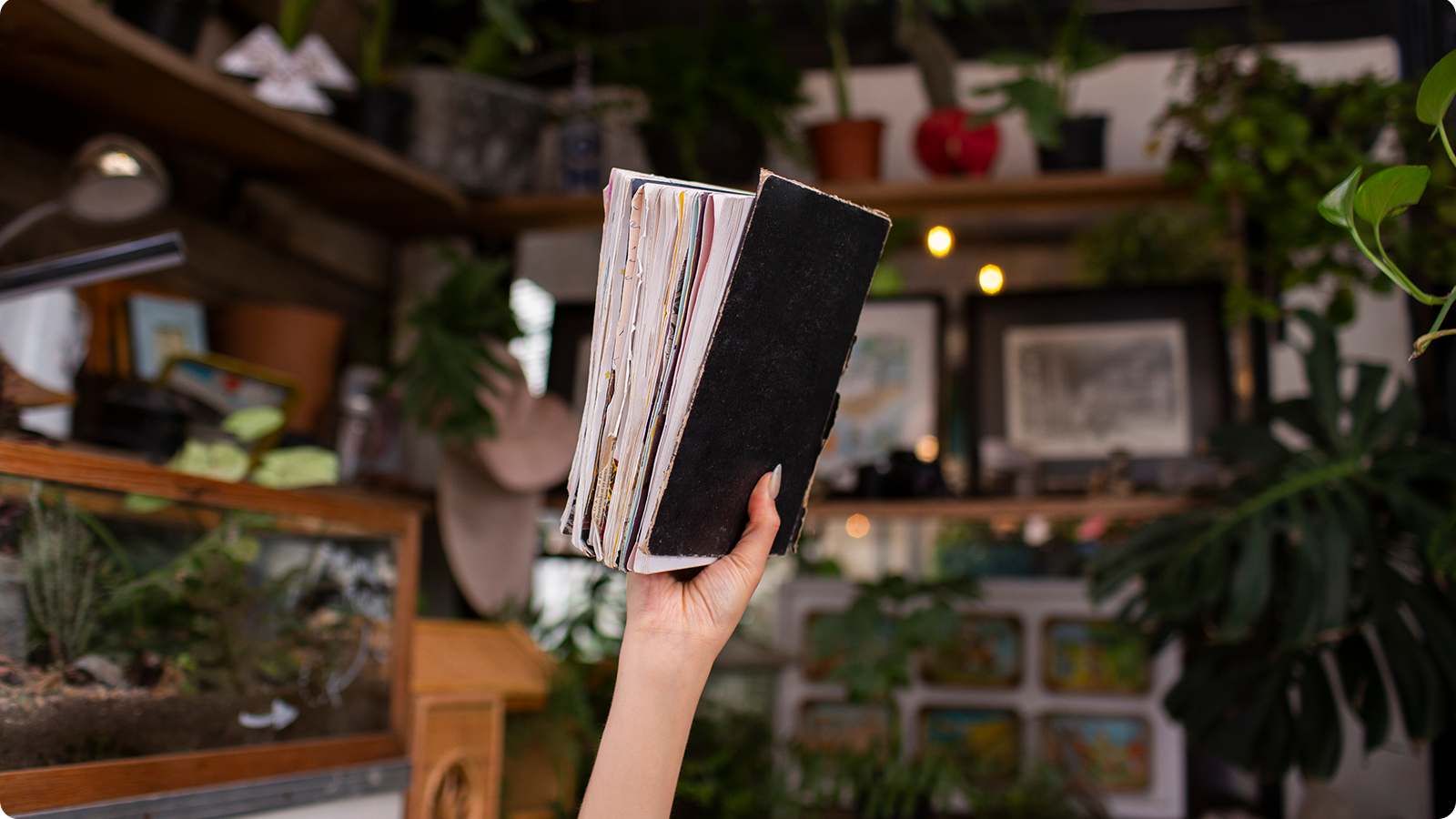 A Beginner’s Guide to Book Publishing